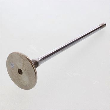 VALVE,INTAKE