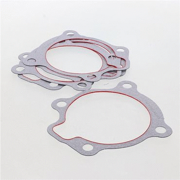 Gasket