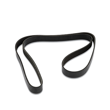 Serpentine Belt