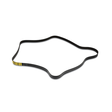 Serpentine Belt