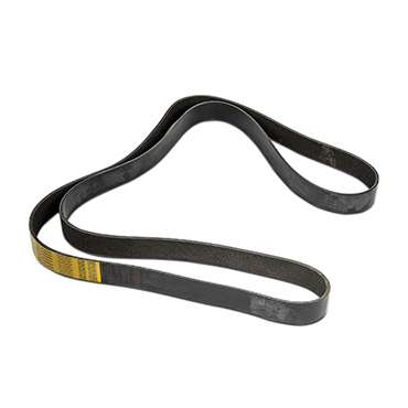 Serpentine Belt