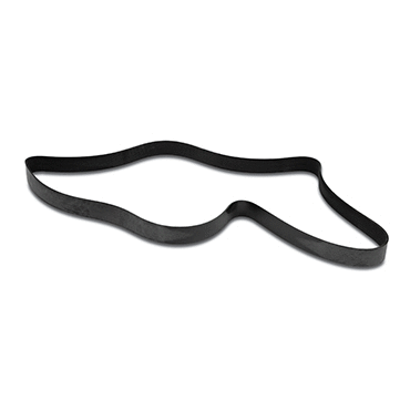 Serpentine Belt