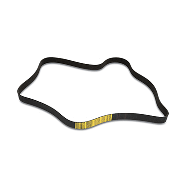 Serpentine Belt